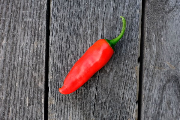 Piment de Cayenne / Capsicum annuum