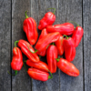 Piment végétarien / Capsicum chinense