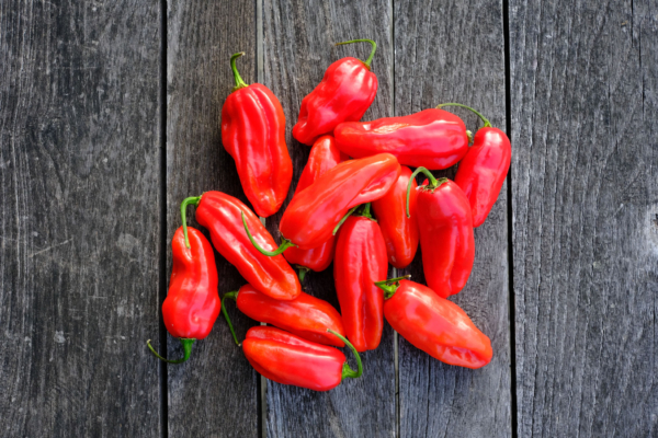 Piment végétarien / Capsicum chinense