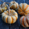 Patidou 'Sweet Dumpling' / Cucurbita pepo