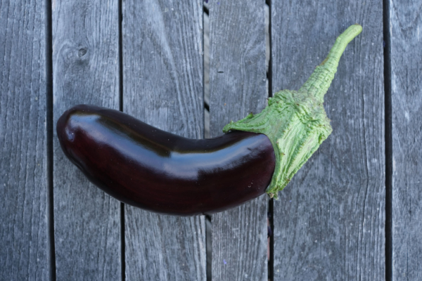 Aubergine Diamond / Solanum melongena – Image 2