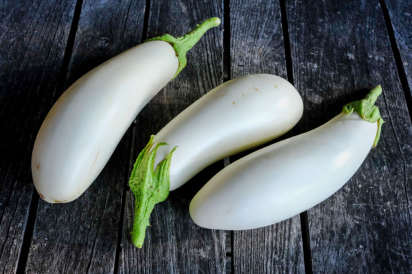 Aubergine Dourga / Solanum melongena – Image 3