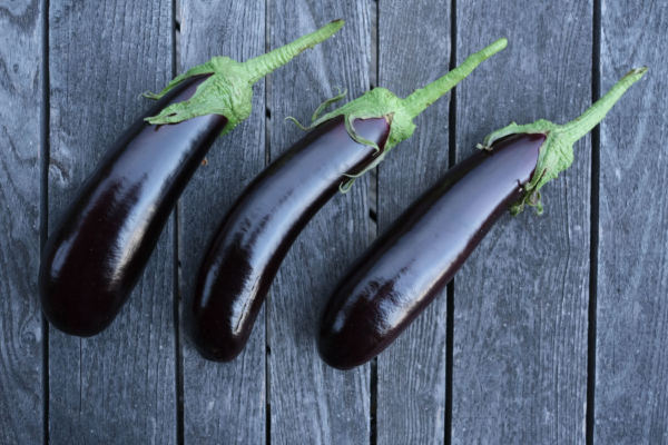 Aubergine longue violette hâtive / Solanum melongena