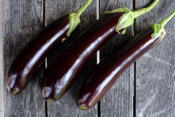 Aubergine longue violette hâtive / Solanum melongena – Image 3