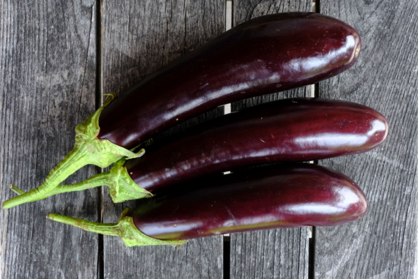 Aubergine longue violette hâtive / Solanum melongena – Image 2