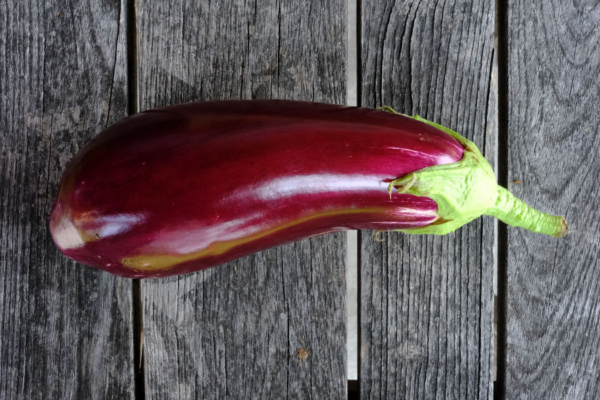 Aubergine violette de Toulouse / Solanum melongena – Image 2