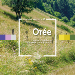 07_OREE_SOLEIL_FRAIS_NEUTRE_PAUVRE