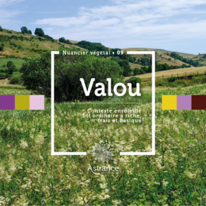09_VALOU_SOLEIL_FRAIS_BASIQUE_ORDINAIRE