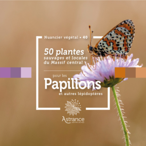 40_PAPILLONS_LEPIDOPTERES