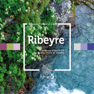 10_RIBEYRE_SOLEIL_FRAIS_NEUTRE_RICHE